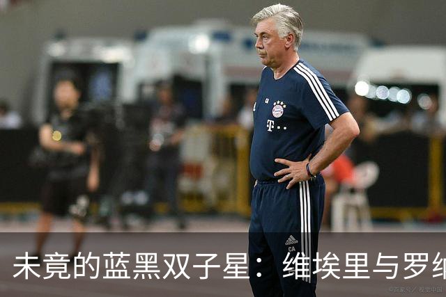 未竟的蓝黑双子星：维埃里与罗纳尔多的场下莫逆